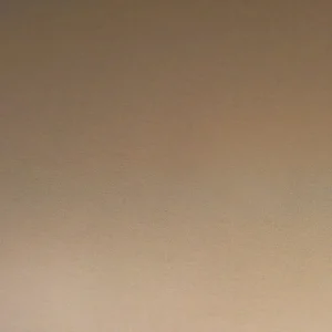 New Escale Applique murale LED Blade, taupe, Ø 95 cm