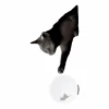 Flash Sale Karman Applique murale Maoo, céramique noire, verre, figurine de chat