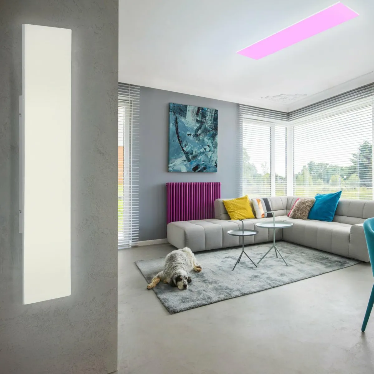 paul_neuhaus_qframeless_plafonnier_rgbw_xcm_2.webp Online Q-Smart-Home Paul Neuhaus Q-FRAMELESS Plafonnier RGBW 120x30cm
