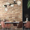 Flash Sale Lamkur Plafonnier Eliza, à six lampes, noir