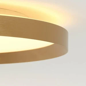Hot Steinhauer Plafonnier LED Flady, doré, Ø 50 cm direct/indirect