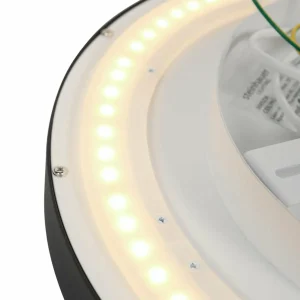 Cheap Steinhauer Plafonnier LED Flady, noir, Ø 40 cm, direct/indirect