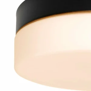 Best Steinhauer Plafonnier LED Ikaro noir, Ø 18 cm, métal, plastique