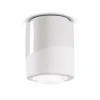 Online Ferroluce Plafonnier PI, cylindrique, Ø 12,5 cm blanc