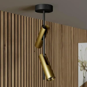 Sale SIGMA Spot pour plafond Leda 2, à 2 lampes, noir-doré