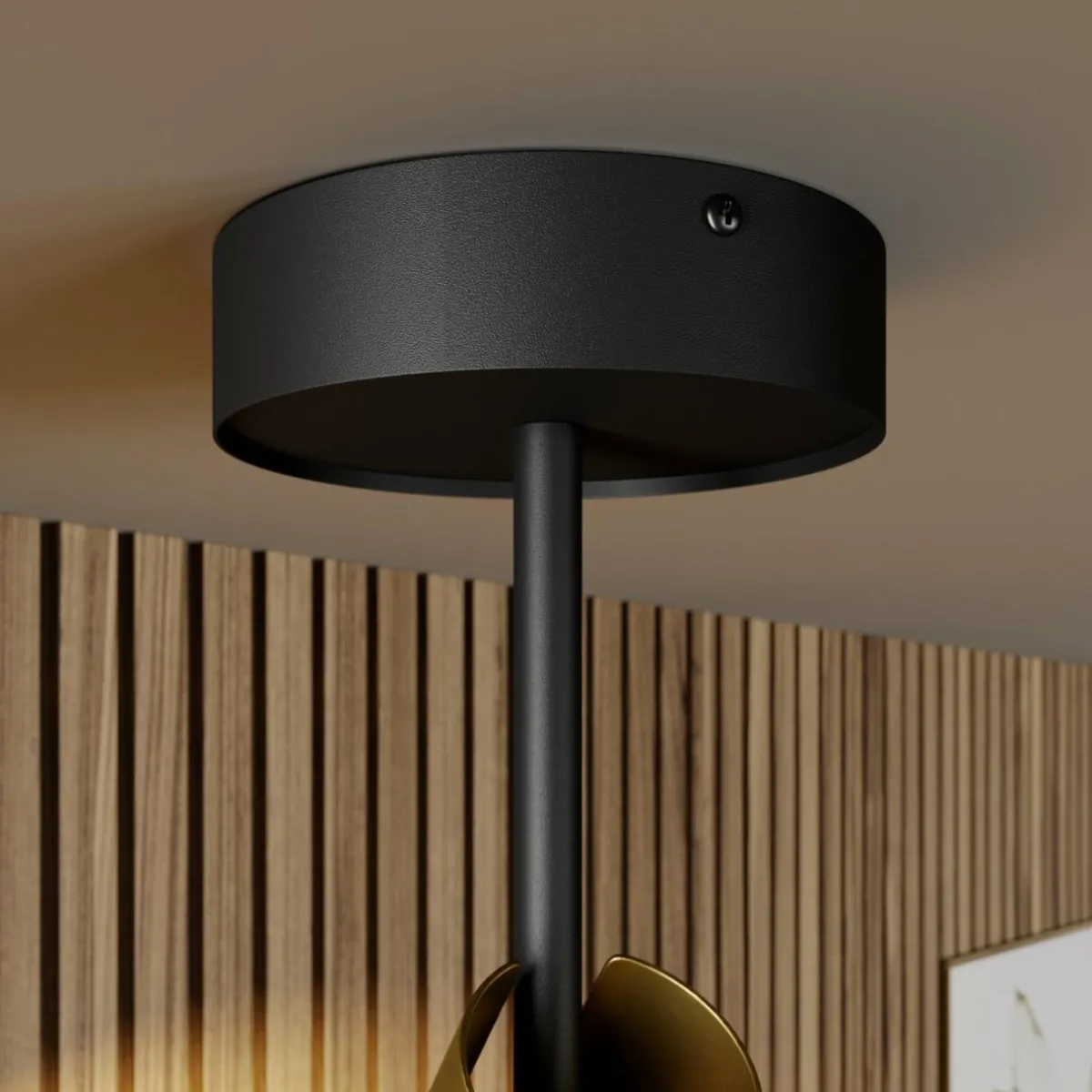 spot_pour_plafond_leda____lampes_noirdor_1.webp Sale SIGMA Spot pour plafond Leda 2, à 2 lampes, noir-doré