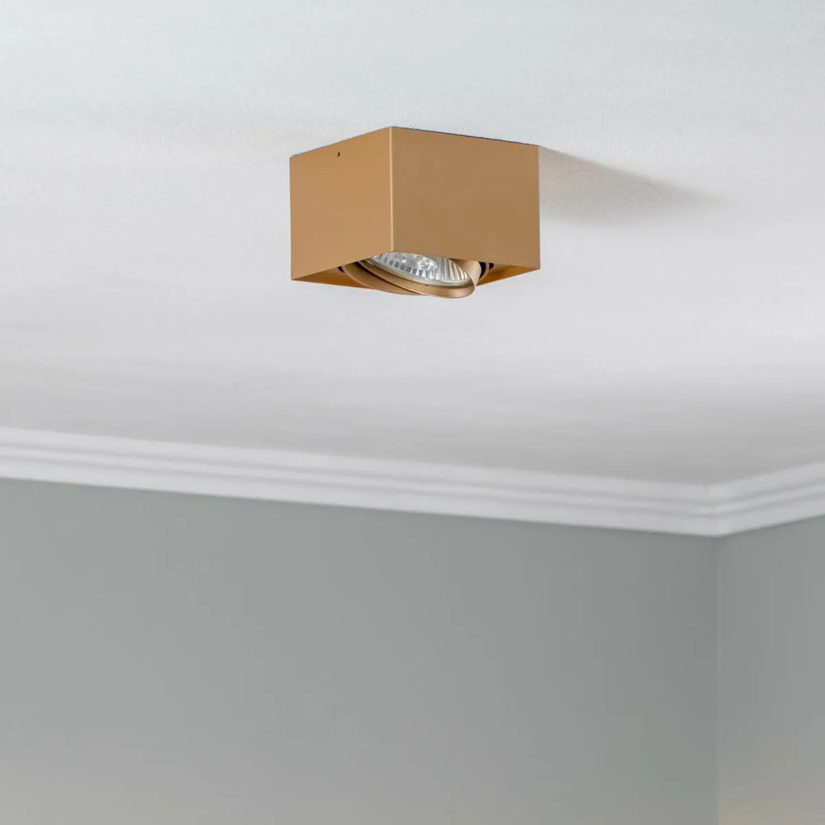 spot_pour_plafond_riesta_dor___lampe_0.webp Discount Argon Spot pour plafond Riesta, doré, à 1 lampe