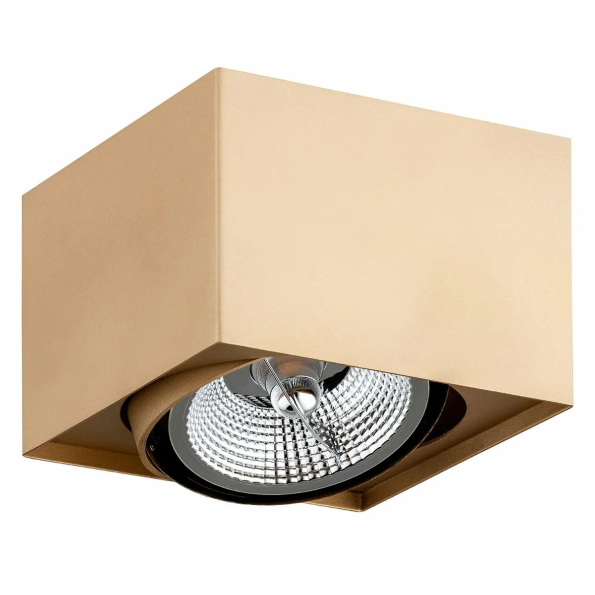 spot_pour_plafond_riesta_dor___lampe_1.webp Discount Argon Spot pour plafond Riesta, doré, à 1 lampe